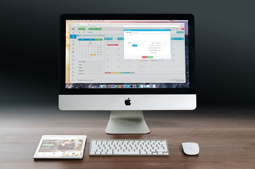 從概念到實(shí)施 深入解析App開發(fā)、定制開發(fā)與企業(yè)軟件構(gòu)建